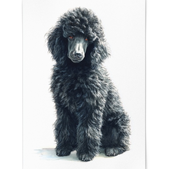 Watercolor Black Poodle Portrait Wall Art Print Poster, Unframed - Pet Artwork - Picture 2 of 6